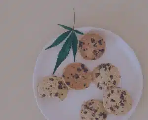 White plate of chocolate chip cookies made with cooking cannabis oil and cannabis leaf on the side of the plate.
