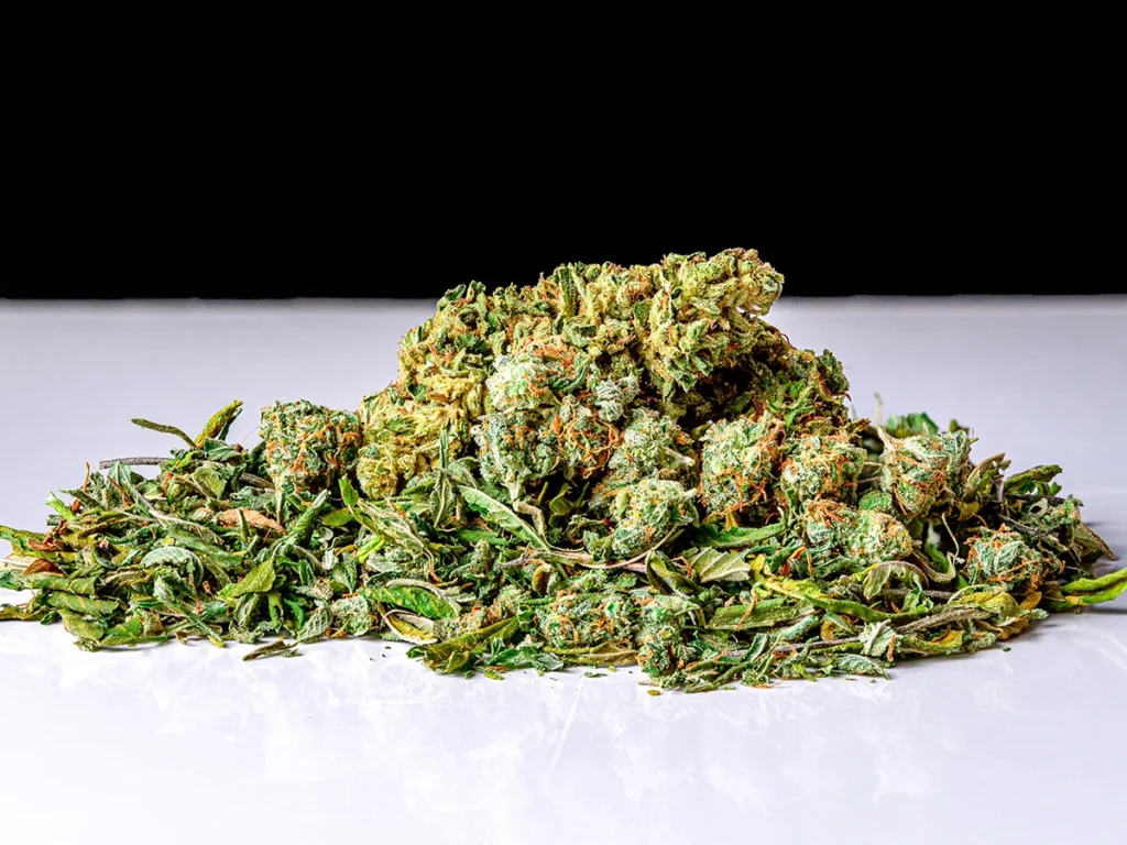 Shake weed on a white table