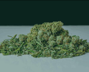 Shake weed on a white table with green overlay