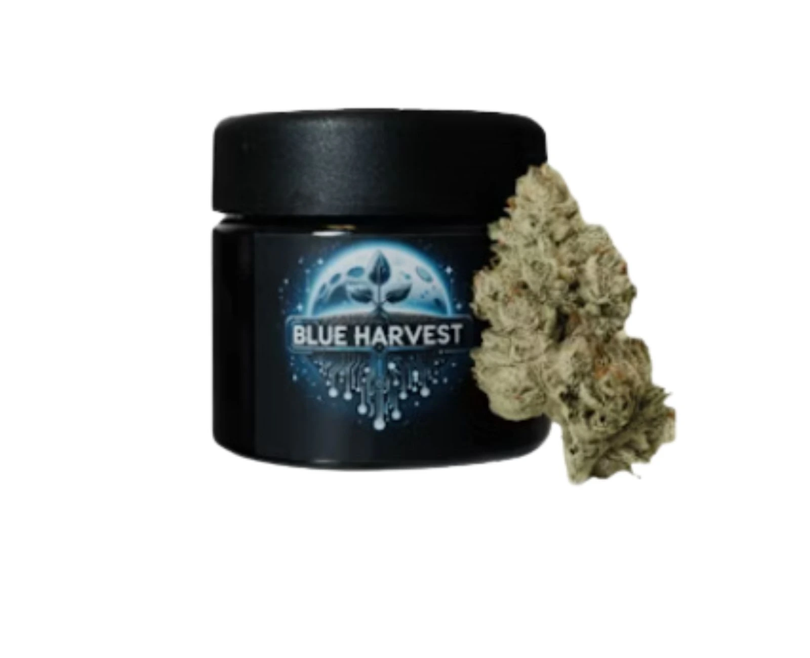 a black container with a plant on it and some cannabis bud beside the container