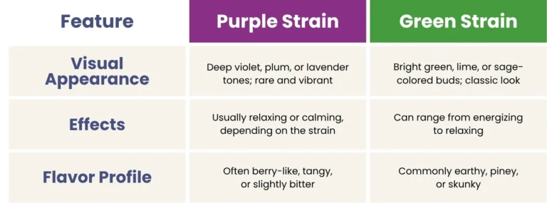 Side-by-side comparison chart highlighting differences in appearance, effects, and flavor between purple and green cannabis strains.