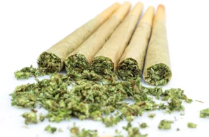 ive filled cannabis joints lying on a white surface with spilled ground flower.