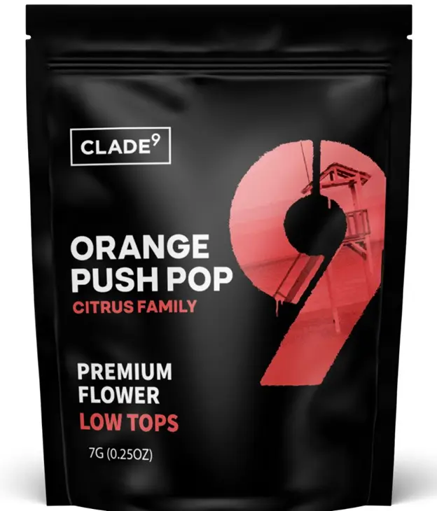 Clade9 Orange Push Pop Packaged Flower