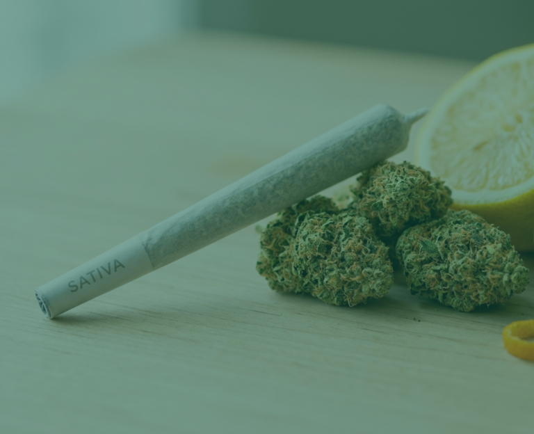 best sativa pre rolls